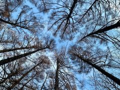 -长春市南湖公园