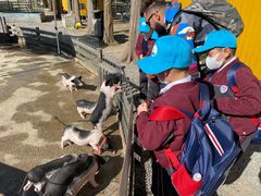 -前小桔亲子创意农场·草莓采摘·露营烧烤