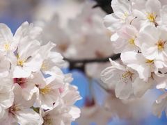 -永乐路-路侧停车场