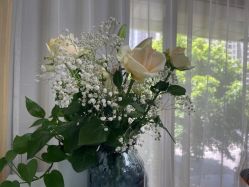 -深圳广和门诊部·整形医疗美容