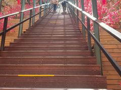 -京东石林峡风景区