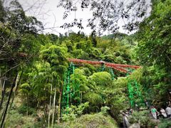 -藏龙百瀑风景区