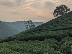-旅马餐厅(茅家埠店)