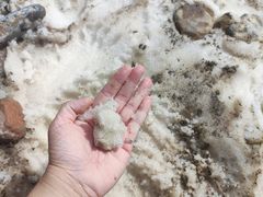 -新疆那拉提国家旅游度假区