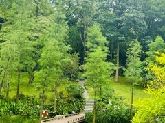 -云溪植物园
