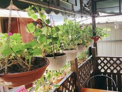 -小厨子私房菜·云南美食店