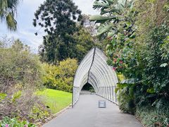 -墨尔本皇家植物园