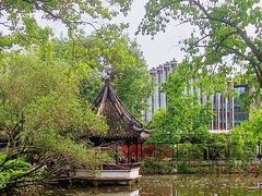 -上海醉白池公园