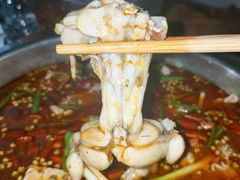 -云鱿记鱿鱼鸡·野生菌火锅(人民南路店)