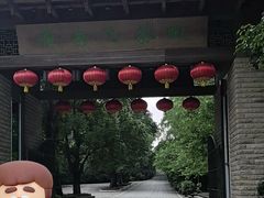 -雁南飞茶田景区