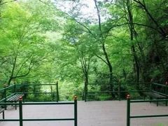 -黑河国家森林公园