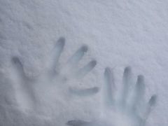 -北京邮电会议中心