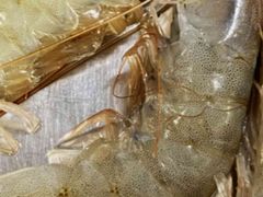 -英雄故事地摊烤肉(马驹桥店)