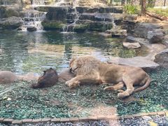 -北京野生动物园