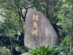 -福建鲤鱼洲酒店