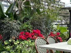 -LE MISSMORE餐酒吧(茉念西里店)