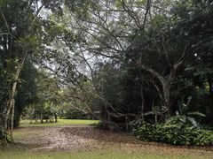 -中国科学院西双版纳热带植物园