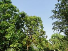 DSC08282-湖光岩风景区