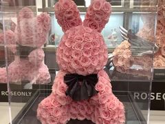 -ROSEONLY诺誓(广州K11店)