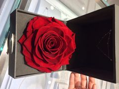 iphone_upload_pic-ROSEONLY诺誓(广州K11店)