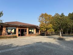 -上海海湾国家森林公园