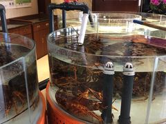 -万龙洲海鲜(大兴绿地缤纷城店)