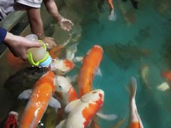 -多彩贵州城极地海洋世界