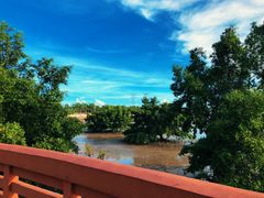 -宝安西湾红树林湿地公园