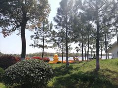 -杭州湾海上花田景区