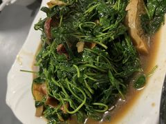 蚌肉金花菜-小春农家乐