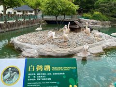 -大连老虎滩海洋公园