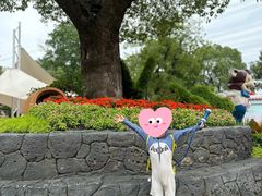 -苏州乐园森林水世界