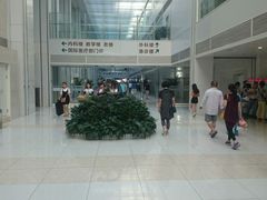 -北京协和医院(东单院区)