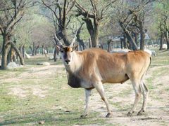 -西安秦岭野生动物园