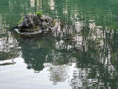 -花溪公园