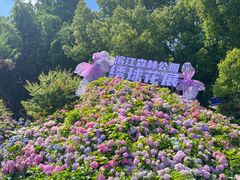 -上海滨江森林公园