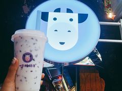 -一只酸奶牛(八一路店)