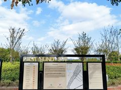 -上海山野camping·户外天幕烧烤·团建拓展营地
