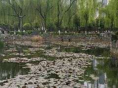 -西安青龙寺遗址景区