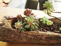 -远山有窑
