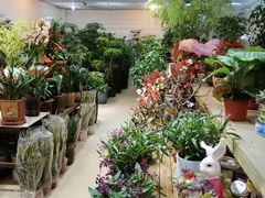 -双季花艺园艺市场(浦东店)