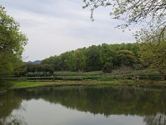 -茅家埠