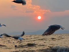 -捞渔河湿地公园