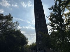 -上海佘山国家森林公园天马山园