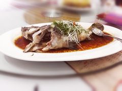 清蒸游水龙斑-圣丰盛宴酒家(东城店)