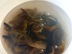 -特色东香泥鳅面螺丝面(金马小区店)