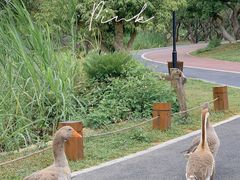 -香山湖公园