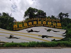 -西双版纳原始森林公园