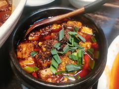 -陈麻婆豆腐(旗舰店)