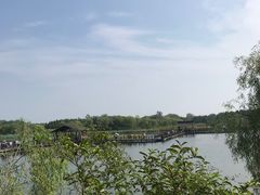 -溱湖国家湿地公园